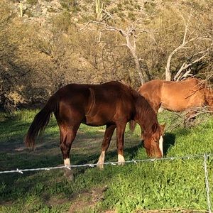 Meet your Posher, Linda